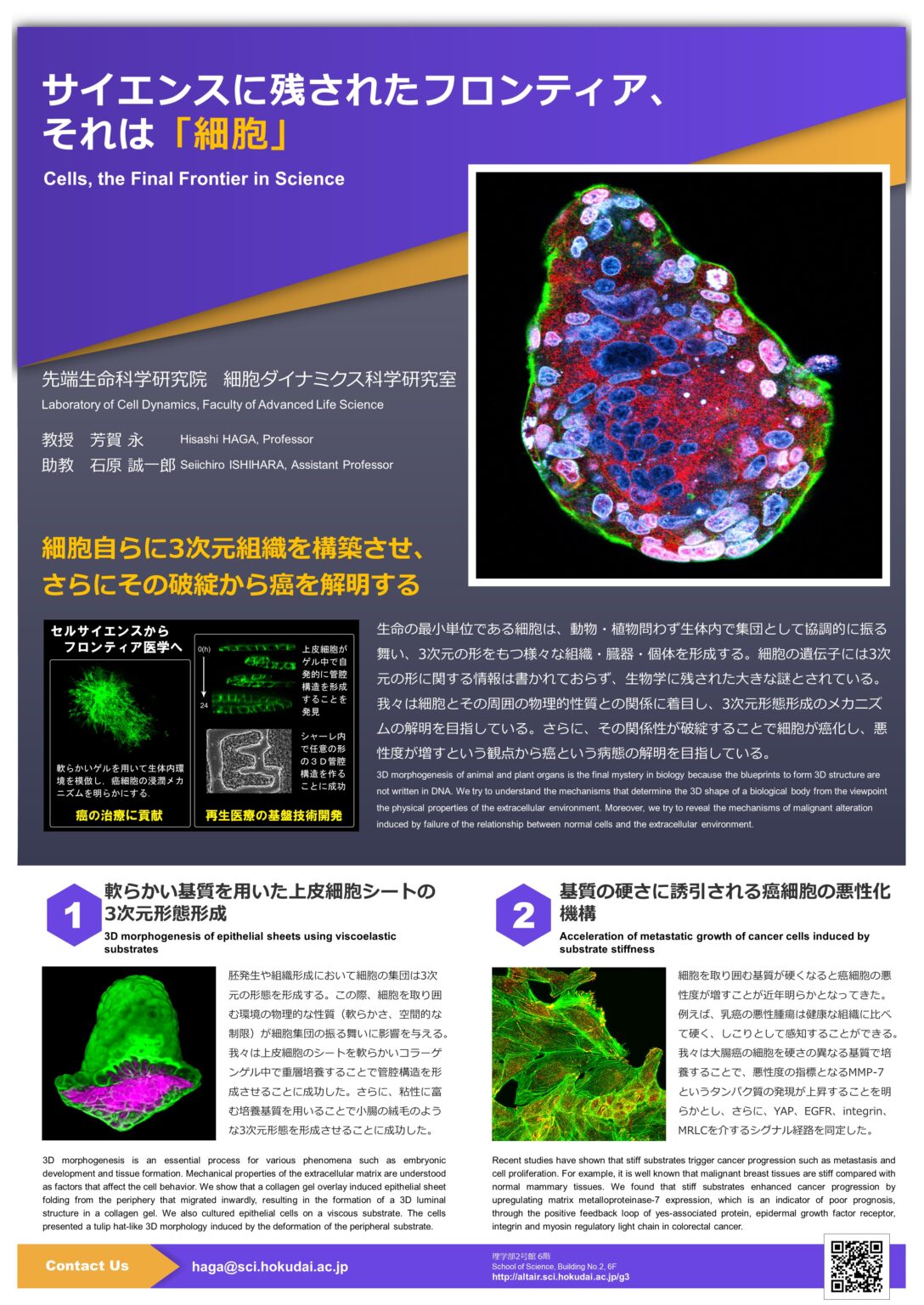 細胞ダイナミクス科学研究室 北海道大学 理学部 生物科学科 高分子機能学