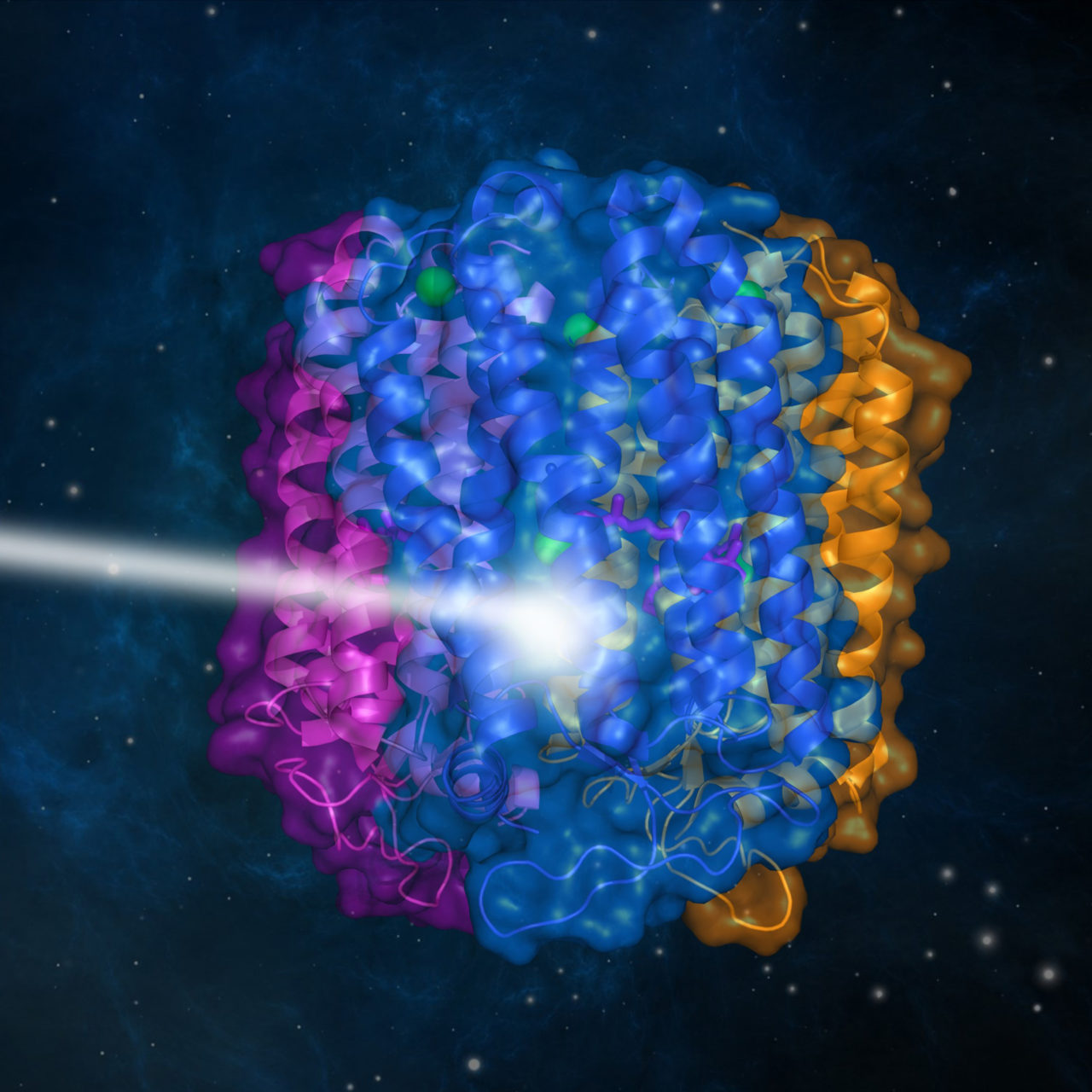 Laboratory of Biological Information Analysis Science Biological